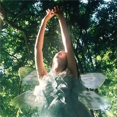 中国家庭之母爱